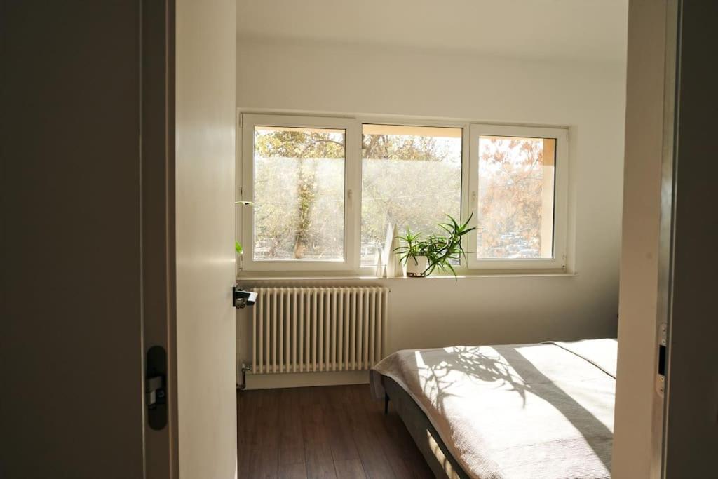 Ultracentral Two Rooms Apartment In Bukarest Exteriör bild